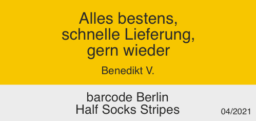 barcode Berlin Half Socks Stripes