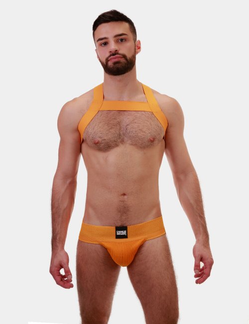 barcode Berlin Harness Matt gelb