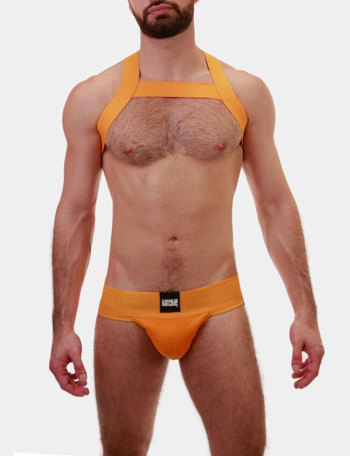 barcode Berlin Harness Matt gelb